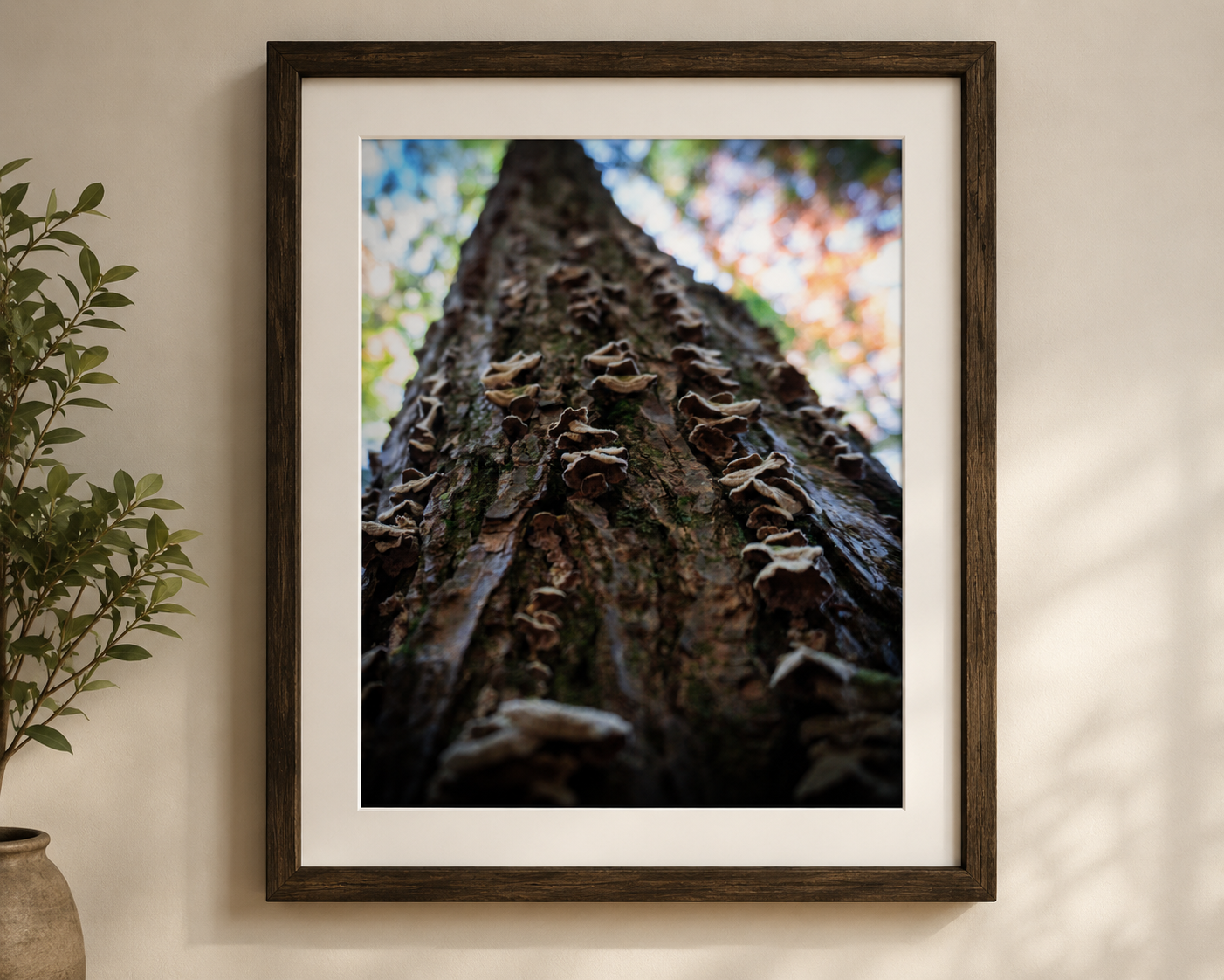The forest is full of stories written in bark and time