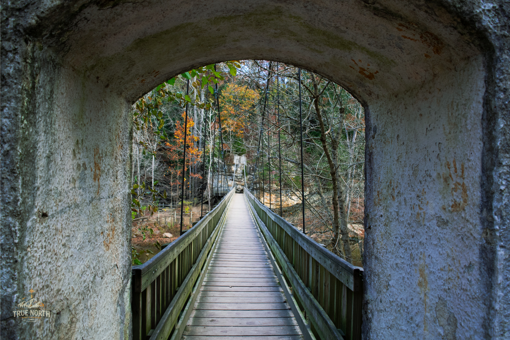 Crossing from ordinary to extraordinary.